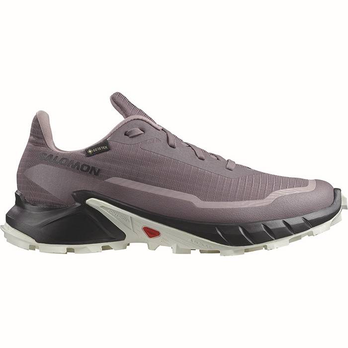 Salomon Alphacross 5 Gtx Kvinder / Damer, Moonscape/Blk/White-37 1/3 / Uk 4,5 - Vandresko