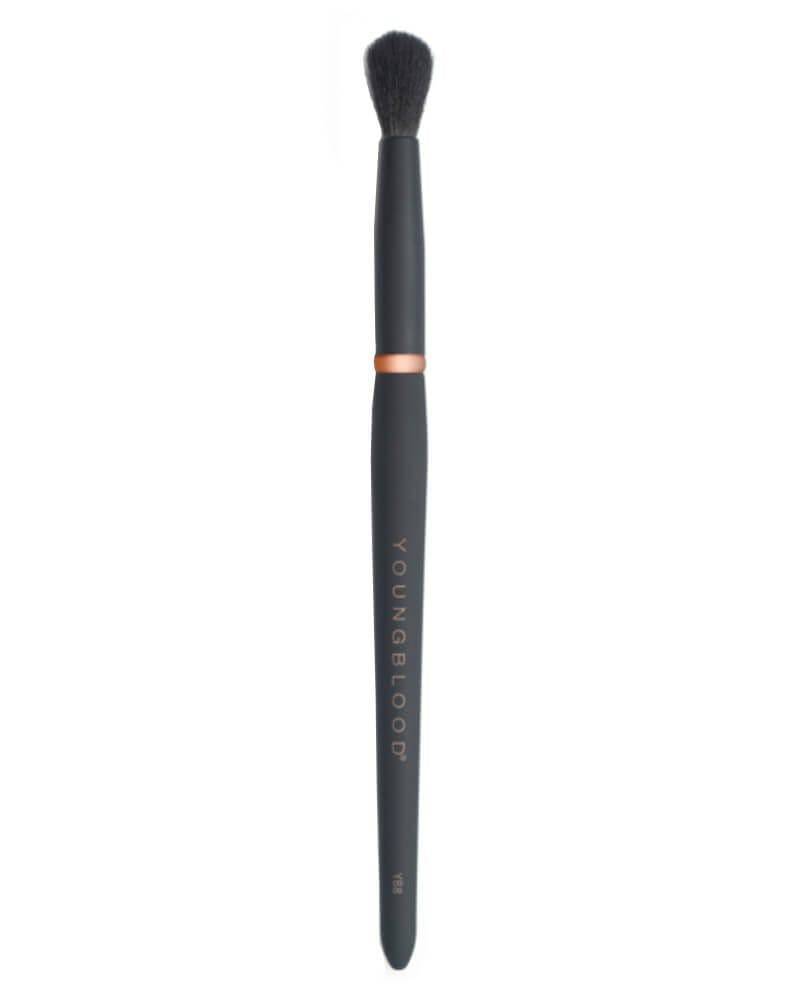 Youngblood Makeup Brush Yb8 Tapered Blending 1 Stk