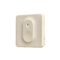 Shelly Blu H&t Ivory