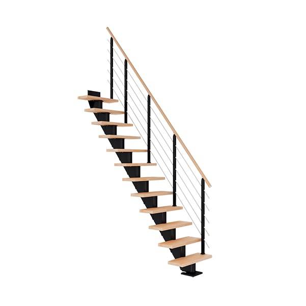 Dolle Frankfurt Ligeløb Sort-Design-Olieret Bøg-65-11 - Lodret Højde Op Til 258 Cm