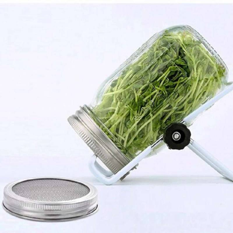Mason Pot Seedling Set, 1l M. Holder & Fab. - Sunflux