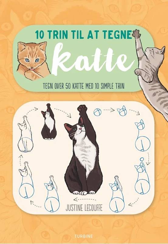 10 Trin Til At Tegne Katte - Turbine